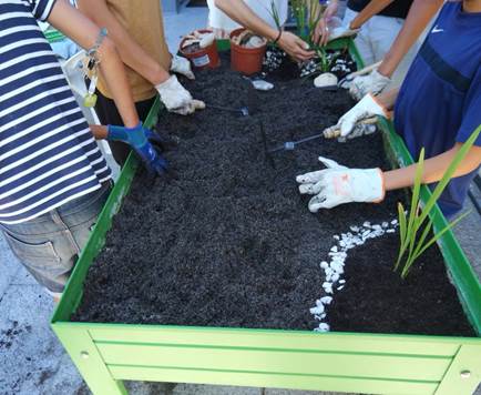 Jardín en miniatura.jpg