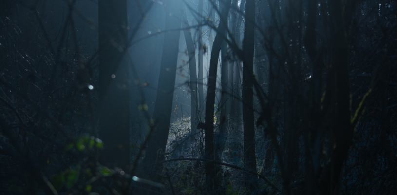 CUBO Espacio Joven: Semana especial Halloween. Horror stories