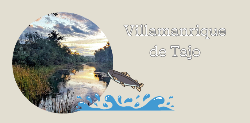 Isla fluvial de Villamanrique de Tajo