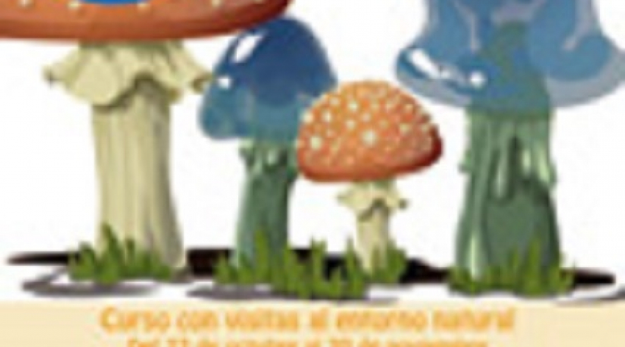 Cartel de Tesoros de otoño (Se abre en ventana nueva)