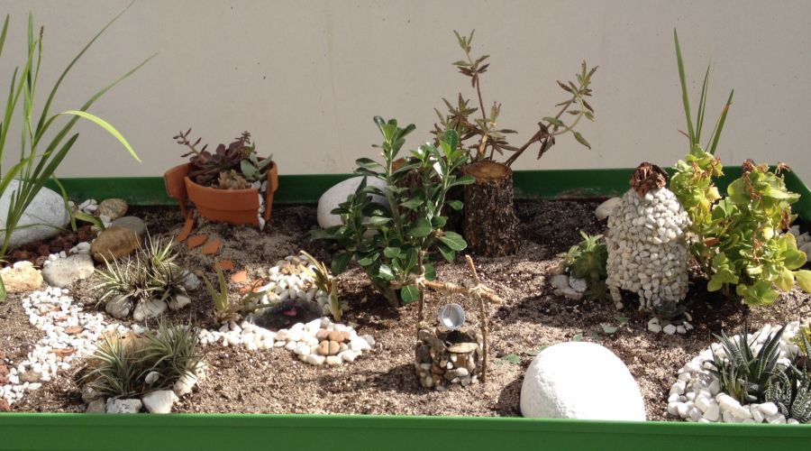 Jardín en miniatura