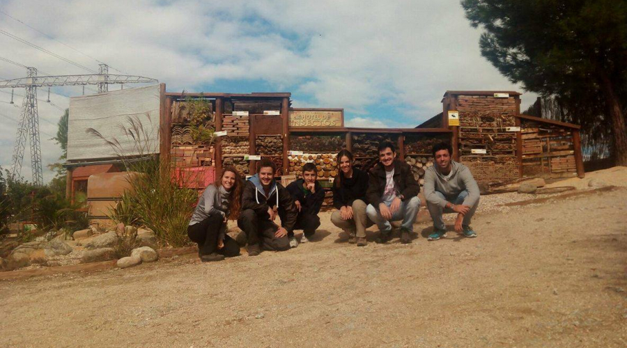 Voluntariado ambiental