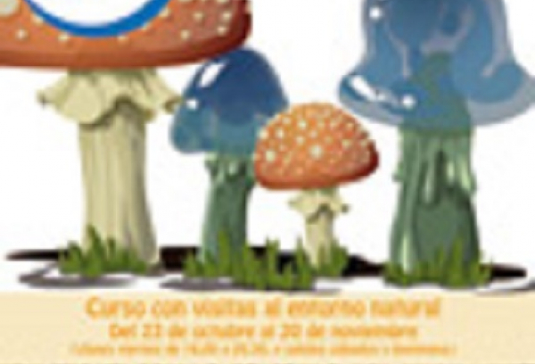 Cartel de Tesoros de otoño (Se abre en ventana nueva)