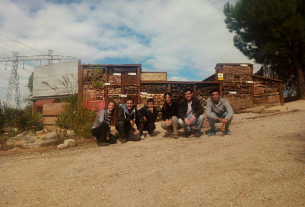 Voluntariado ambiental