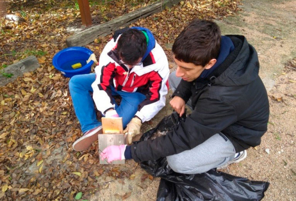 Voluntariado ambiental